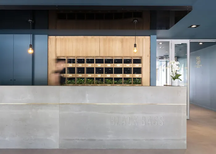 Hotel Black Bass Hotel 5*