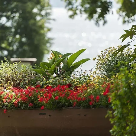 מלון Black Bass 5*